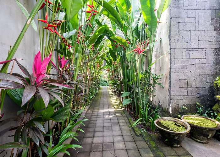 Kakul & Ubud